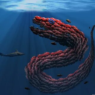 Real seas