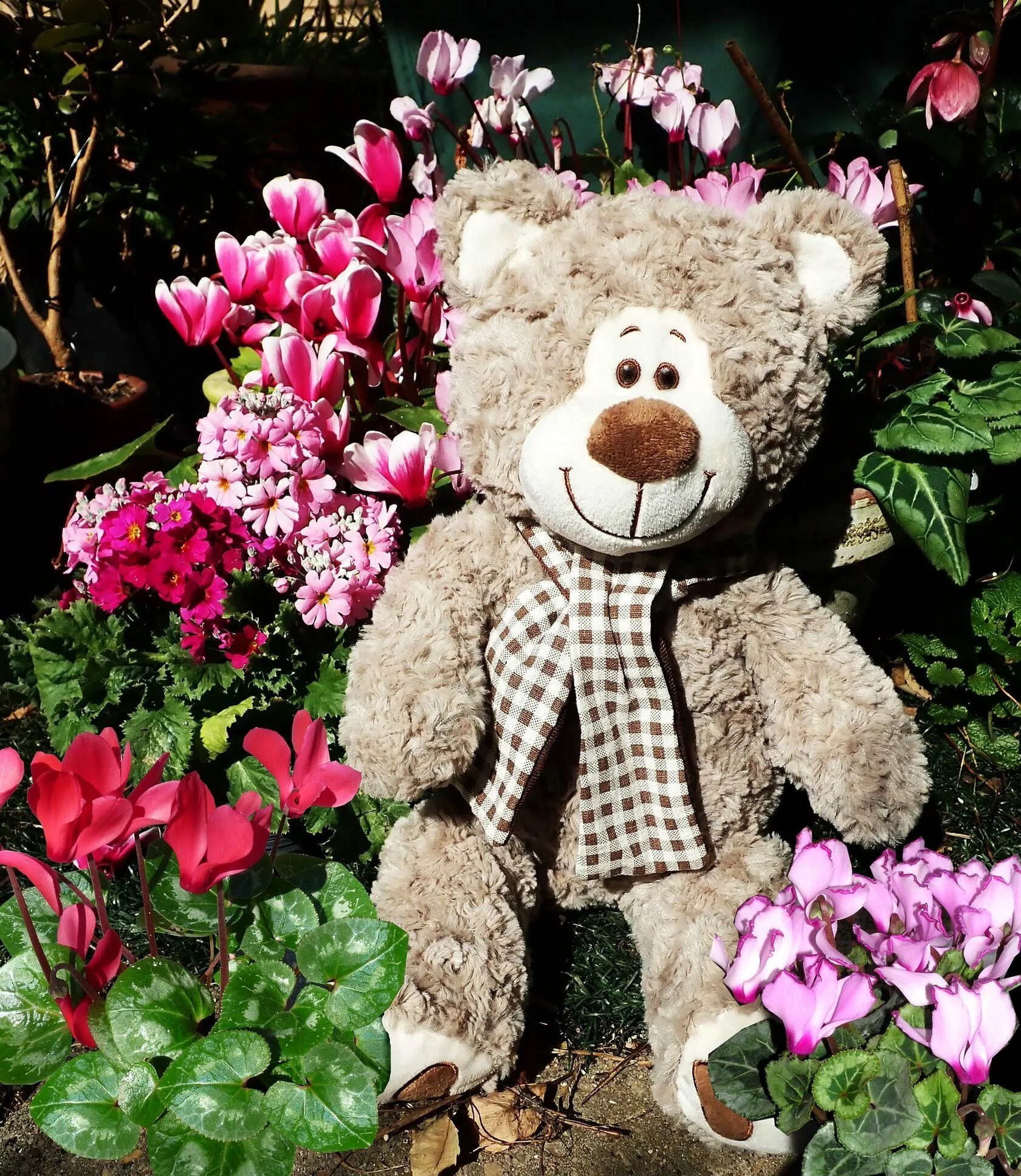Мишка Тедди с цветком. Тедди с цветком. Плюшевый мишка и цветы. Teddy цветы.