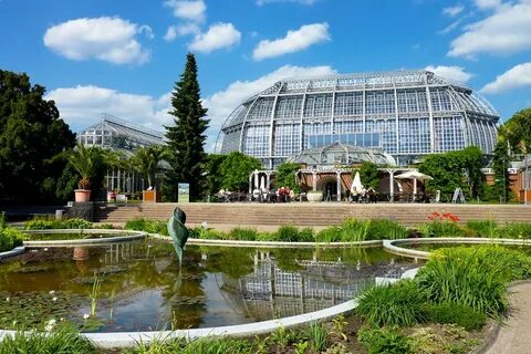 Сад петра первого