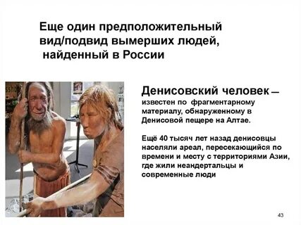 Обнаружен новый вид людей