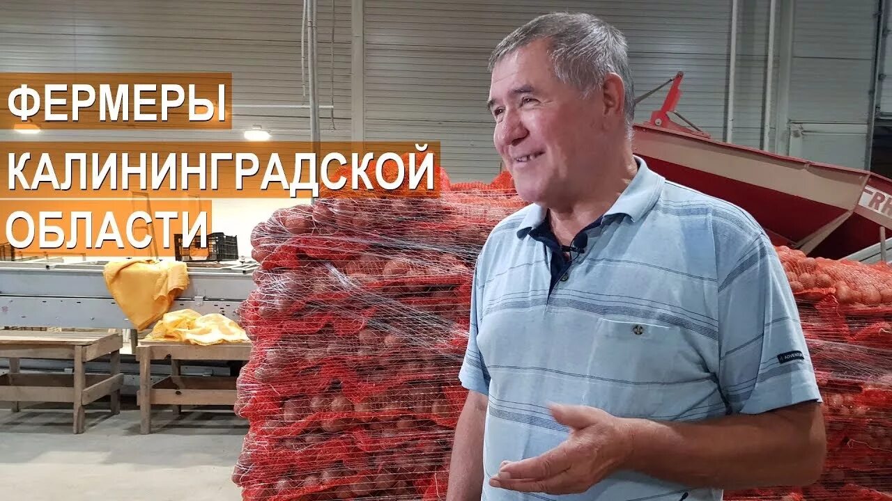 Калининграде фермер. Калининграде фермер. Залесский фермер калининград. Калининграде фермер. Калининграде фермер.