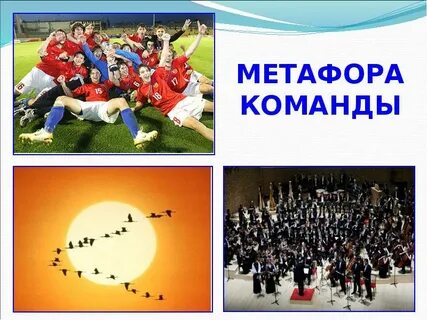 1 вид команды