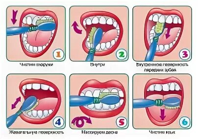 Как долго нужно чистить зубы. Карточки как правильно чистить зубы для детей. плакат как правильно чистить зубы для детей. схема как правильно чистить зубы.
