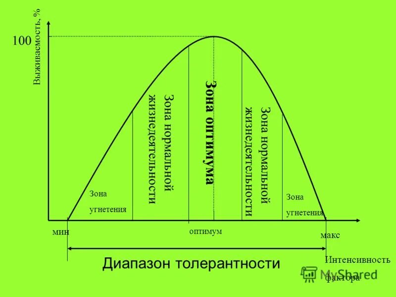 оптимум зона угнетения