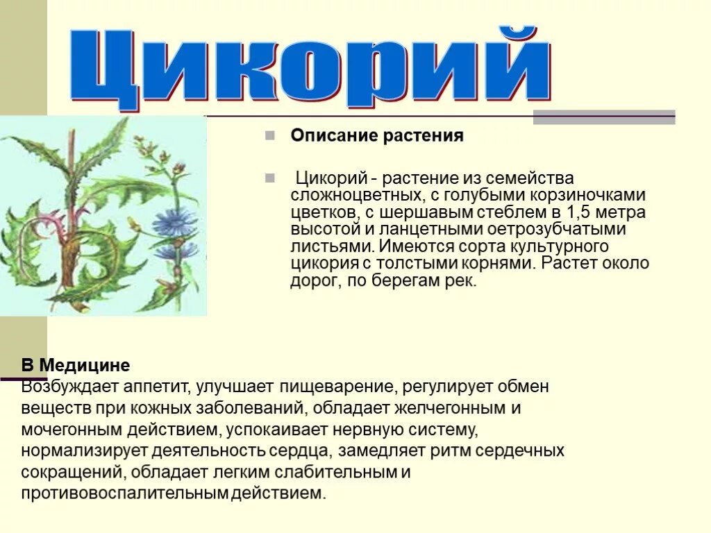 Описание растения. Краткое описание растений. Лекарственные растения краткое описание. Текст о растении.