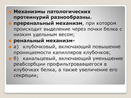 Почечные белки