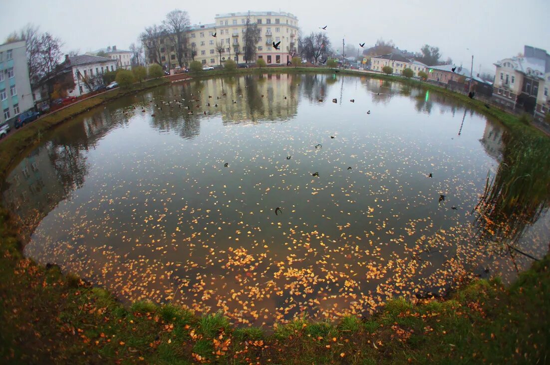 5 копеек медные. клад екатерининских пятаков самый большой. памятник пятаку в нижнем новгороде. город пятаки. памятник сормовский пятак.