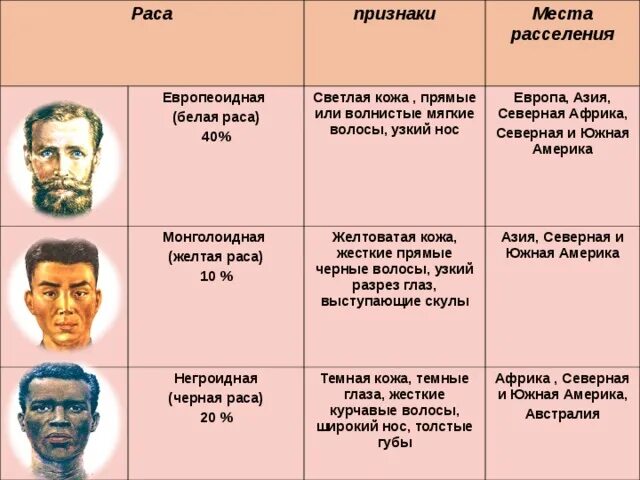 Большие расы сохраняют общевидовые особенности. Европеоидная и монголоидная раса. Таблица европейская раса монголоидная раса. Места расселения монголоидной расы. Представители разных рас.