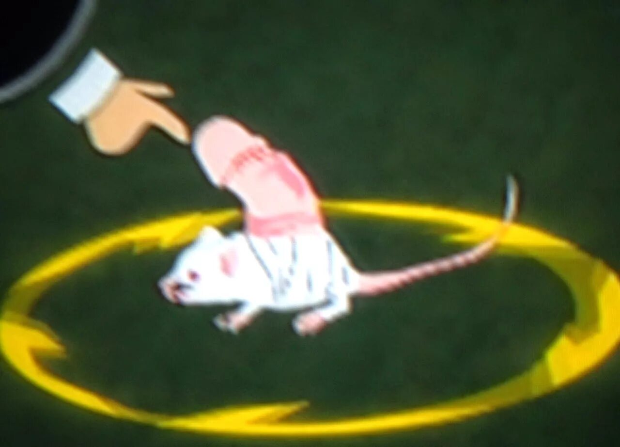 валберис игровые мышки. смешные компьютерные мышки. мышка genius 502. мышь 2 метра. мышь и компьютерная мышь.