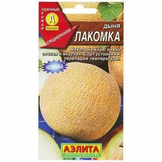 Дыня лакомка