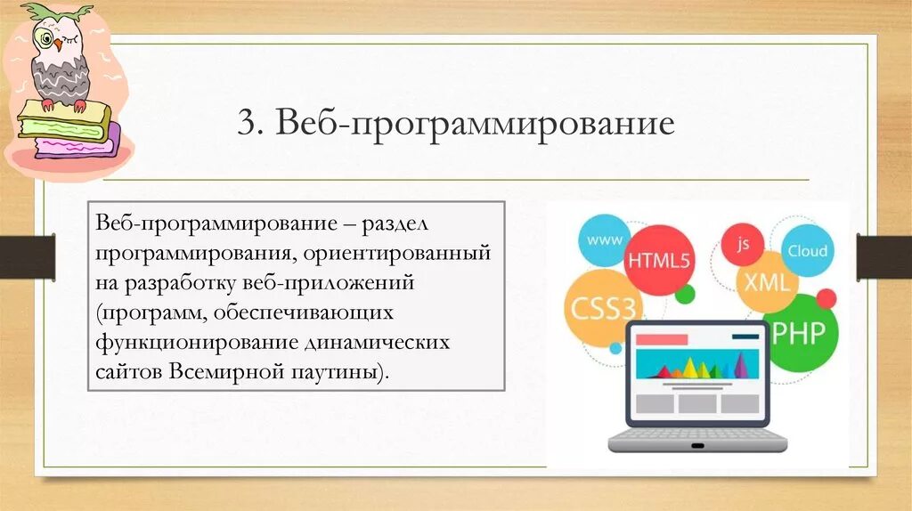 Программы web сайта. Web программирование. Разработчик веб приложений. Разработчики веб-приложений и сайтов. Технологии разработки веб приложений.