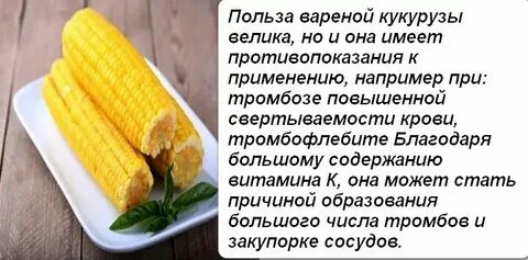Можно крысам вареную кукурузу