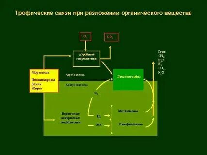 Разложение в органической химии