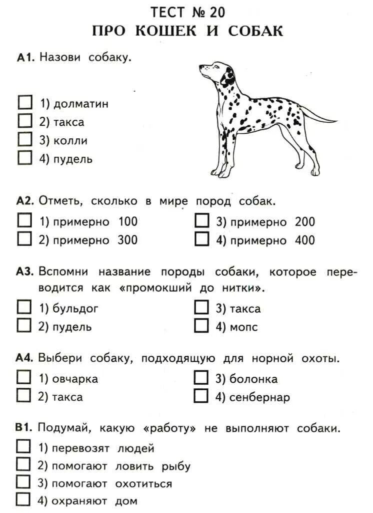 Контрольный тест по окружающему миру 2 класс. Тест по окружающему миру. Тест про кошек и собак. Окружающий мир тесты. Тест по окр миру.