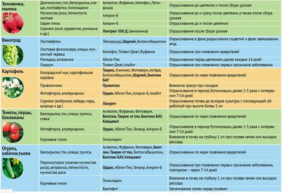 Первое опрыскивание плодовых деревьев. Весенняя обработка сада от болезней и вредителей. таблица обработки от вредителей и болезней сада болезней. весенняя обработка садовых деревьев от вредителей и болезней. препараты от вредителей плодовых деревьев и кустарников.