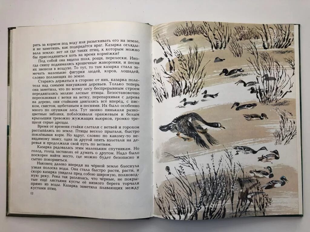 В. Бианки на Великом морском пути книга 1985 года. Бианки на Великом морском пути кн. На Великом морском пути книга. Книга последнее путешествие.