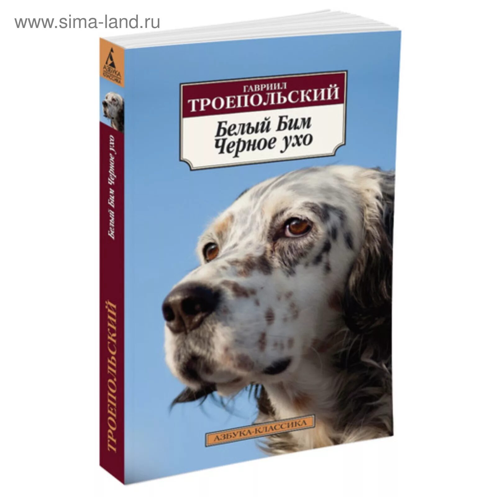 Бим черное ухо слушать. Книга г троепольского белый бим черное ухо. г н троепольский белый бим черное ухо. троепольский белый бим черное ухо книга картинки. обложка книги белый бим черное ухо.
