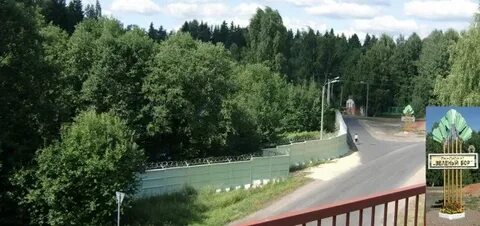Пансионат зеленый бор луга