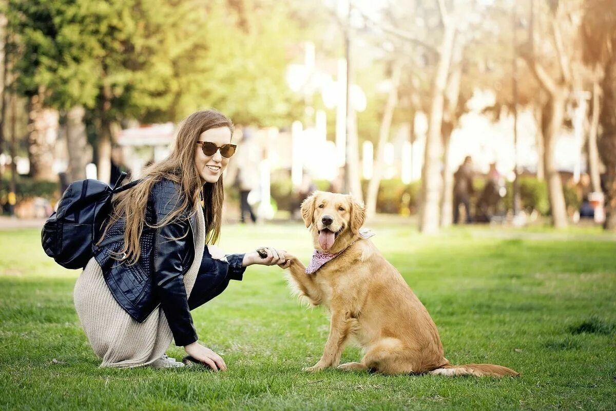 Walking pet. Прогулка с собакой. Фотосессия прогулка с собакой. Прогулка с собакой в парке. Прогулка с питомцем.