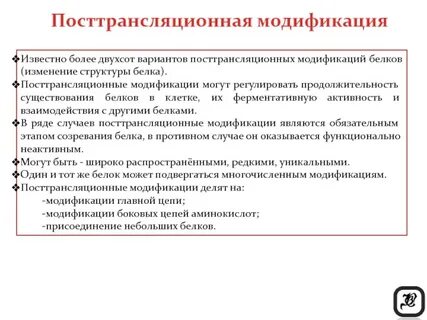 Отвечает за модификацию белков