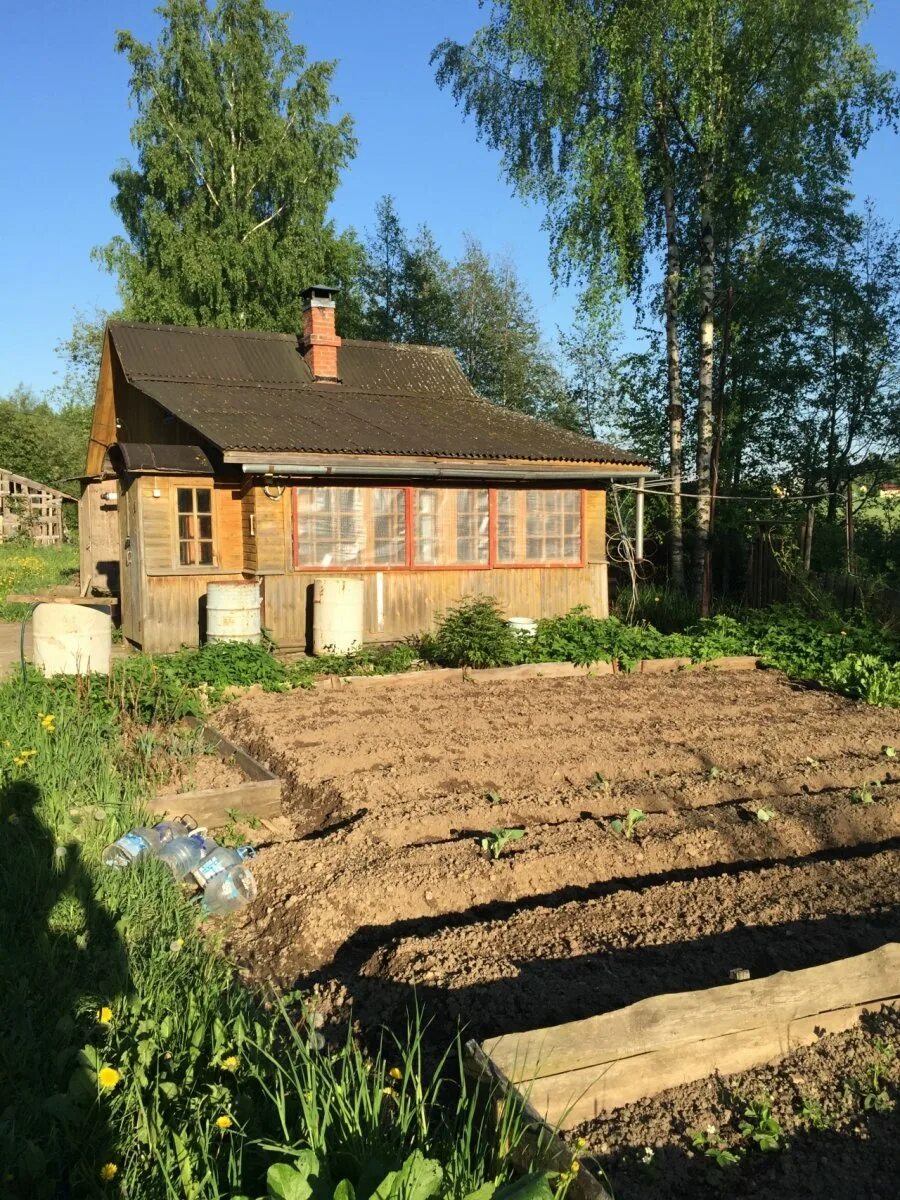 Пеники ленинградская область. Пеники Ломоносовский район. Деревня Пеники Ломоносовский район. Деревня Пеники фото. Пеники дом культуры фото.