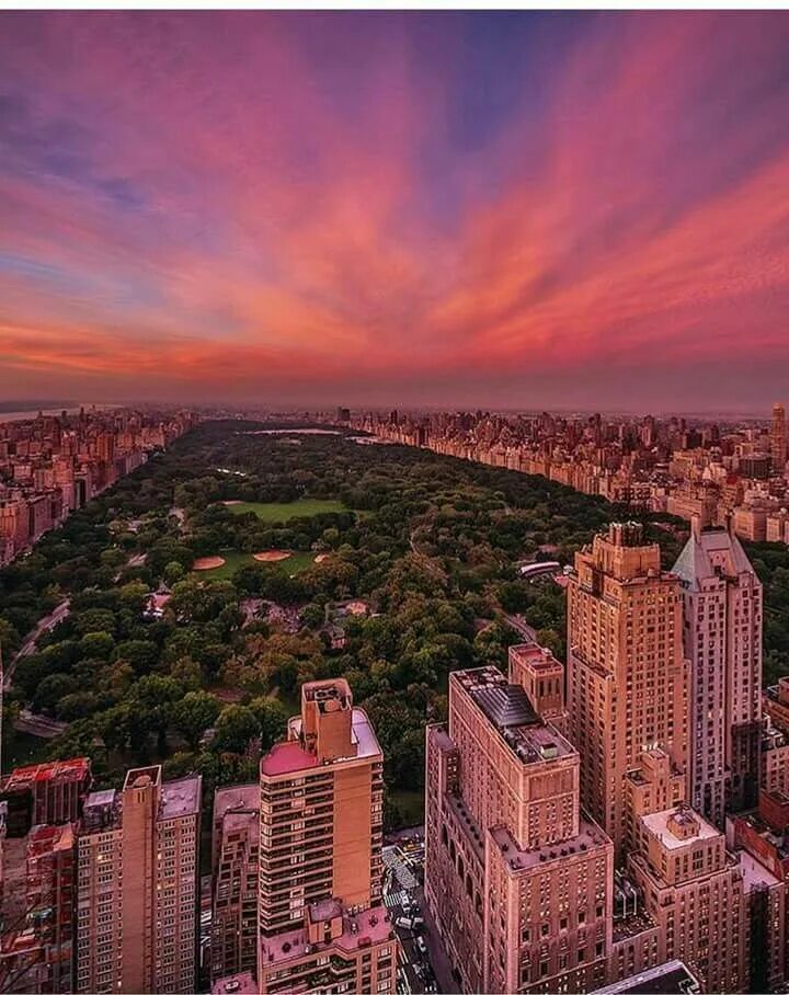 Over central. Egypt central. Смог в ташкенте. Центральный парк манхэттен. Over central.