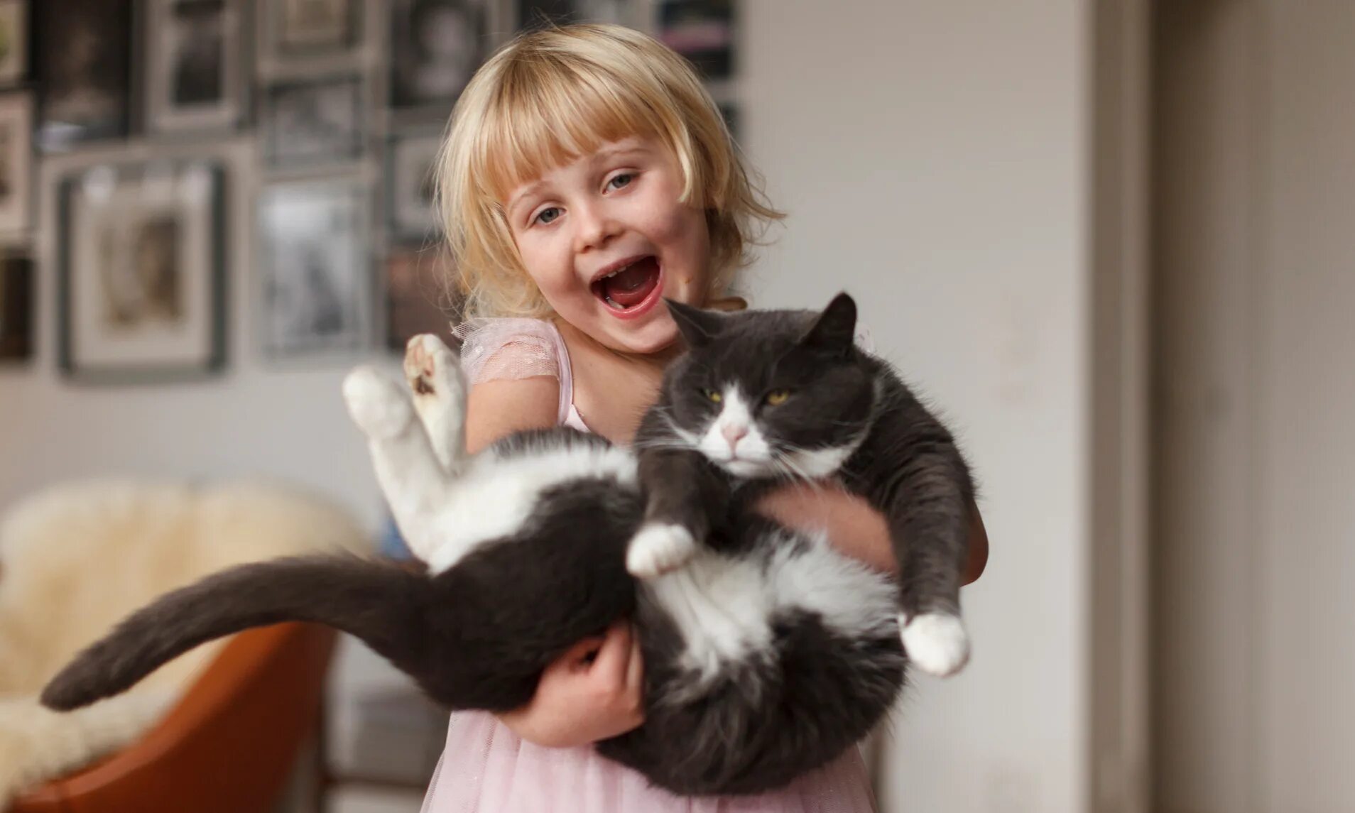 Породы кошек которые любят детей
