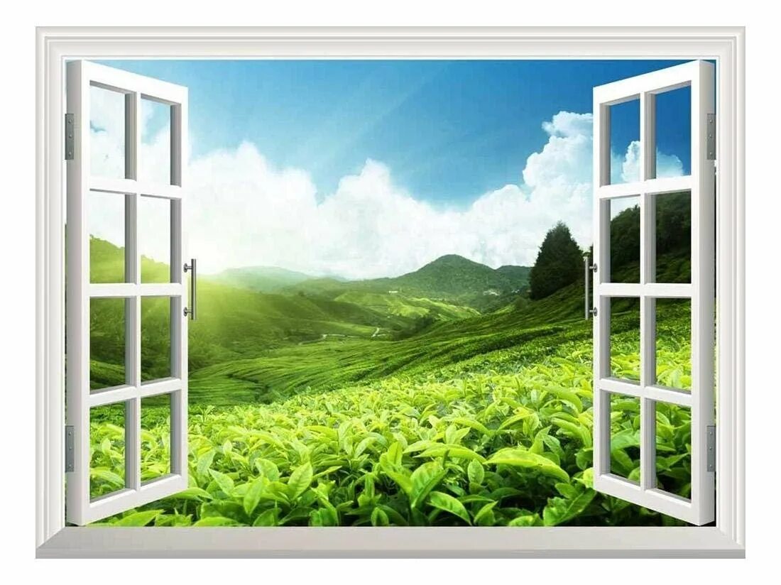 Window poster