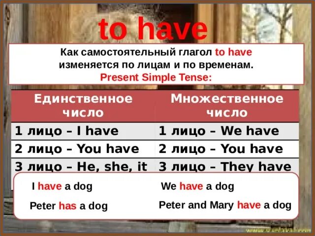 Презент Симпл множественное число. Have to как изменяется. Презент Симпл 3 лицо множественное число. Презент Симпл мн число. Зависеть прошедшее время единственное число