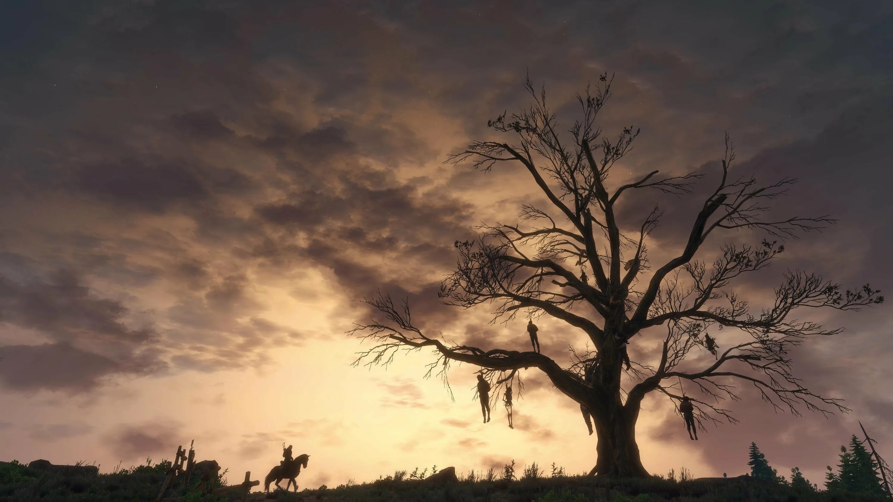 Дерево / the tree (2010). Дерево тунси. Фараон рэпер фосфор. Лесная женщина. Идеи для фотосессии в корнях деревьев.
