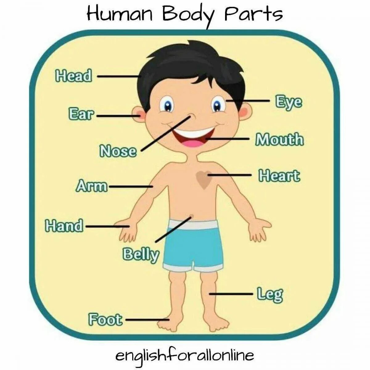 Части тела на английском для детей. Части тела на англ яз для детей. Человек части тела для дошкольников. Тело на английском для детей. Тема части тела на английском