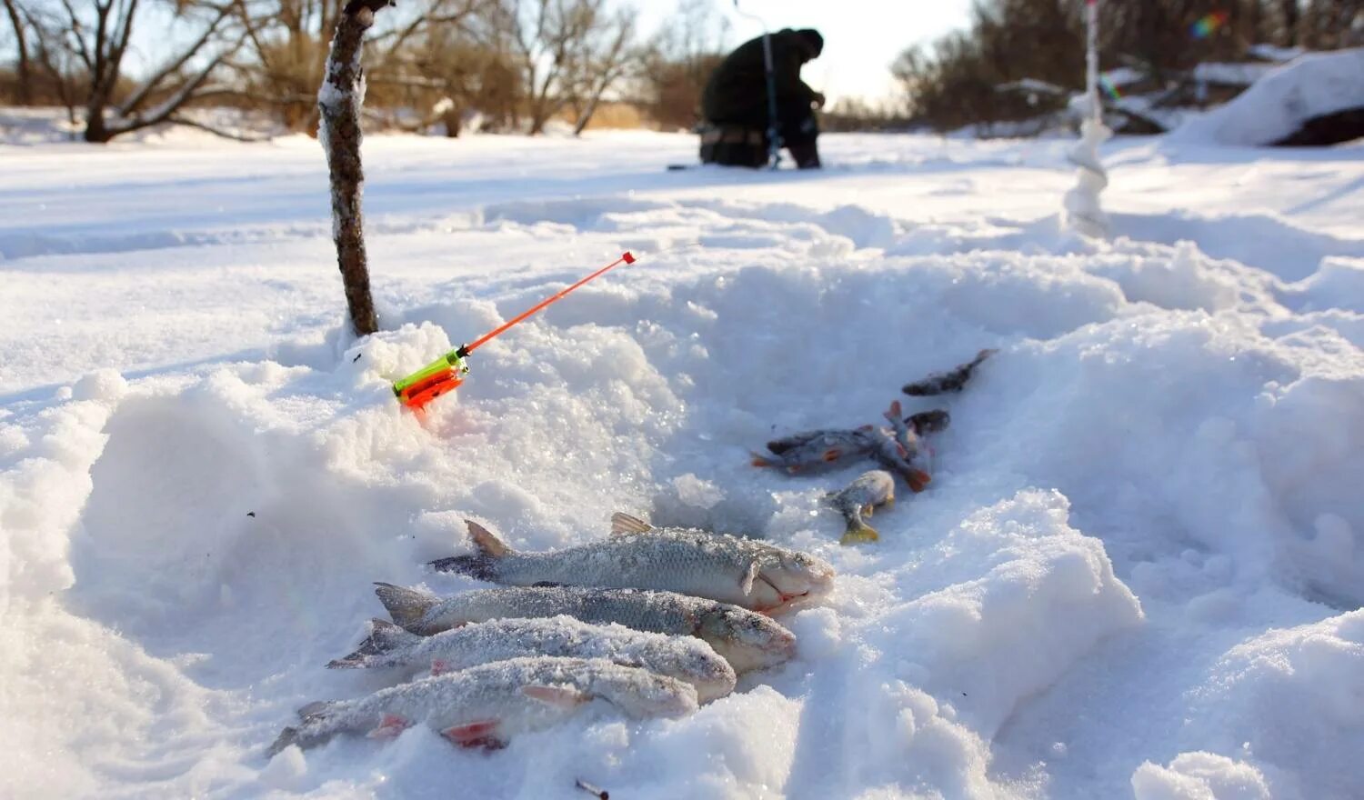 Где зимой ловят рыбу. Зимняя рыбалка. Рыбалка на льду. Зимняя рыбалка на речке. Рыбалка в феврале.
