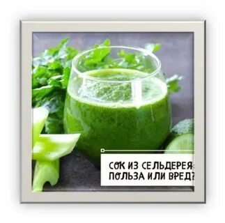 Польза сока сельдерея