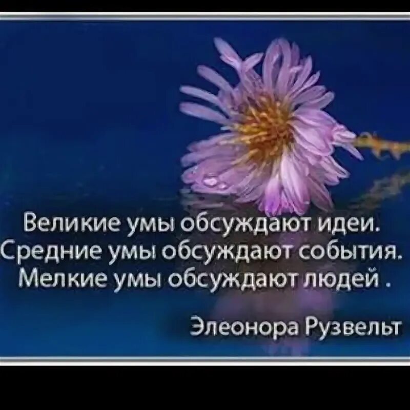 Мелкие умы обсуждают людей. Великие умы обсуждают идеи средние. Великие умы обсуждают идеи средние умы. Элеонора рузвельт об уме. Элеонора рузвельт цитаты великие.