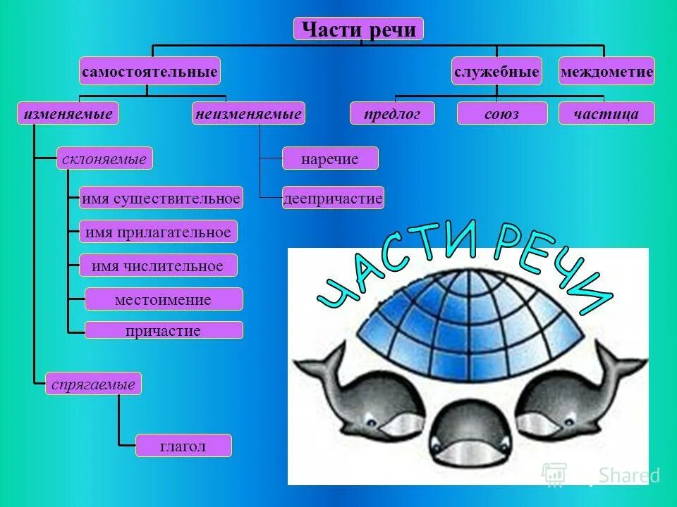 Части речи. Спрягаемые части речи. Изменяемые части речи. Нетзменяемые части реч.