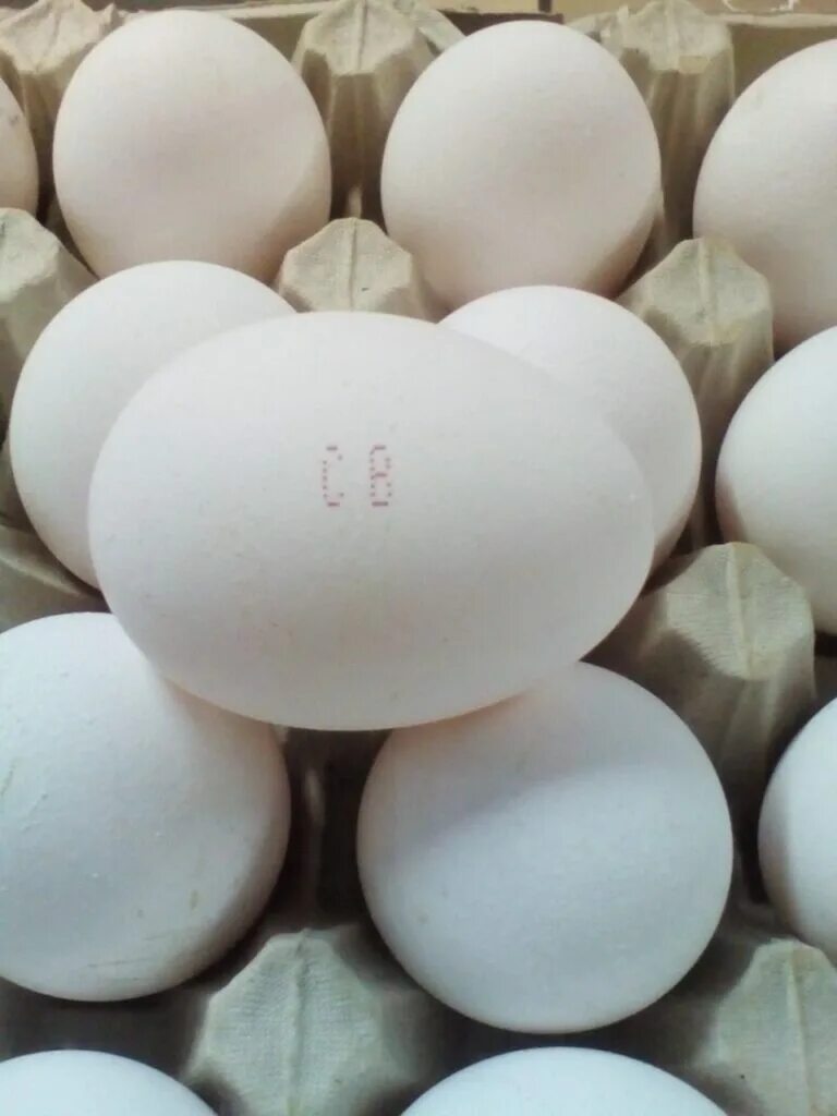 Категория яиц св. Яйца высшей категории. Высший сорт яиц. Яйца категории св. Куриное яйцо перламутровое.