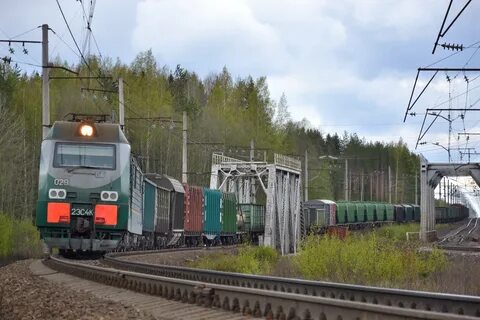 Погода янега