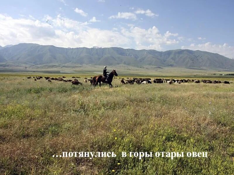 На горах высоких на степном