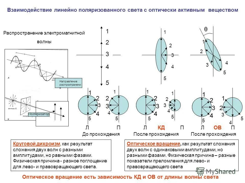 Линейная поляризация электромагнитных волн. Линейно поляризованного света. Спектроскопия кругового дихроизма. Взаимодействие света с веществом.