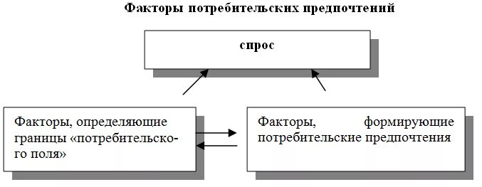 Факторы потребительских предпочтений