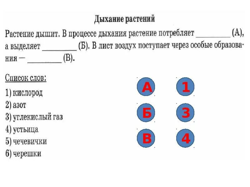 Впр по биологии программа 6 класса. Впр 6 класс биология. биология 6 класс 2018г. процессы в биологии 6 класс впр. впр по биологии 6 класс с ответами.