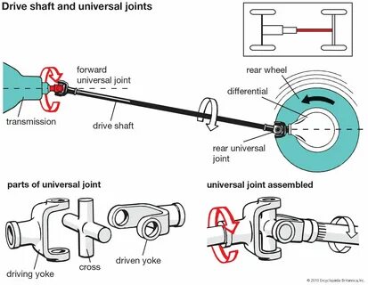 Drive shaft