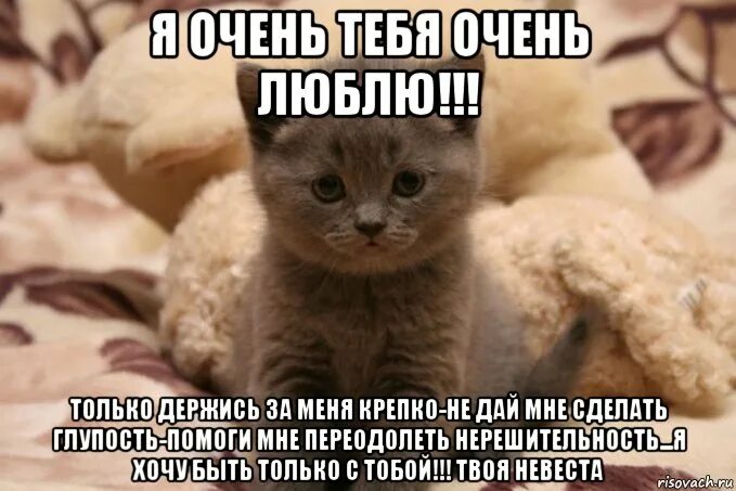 Никто не даст есть очень