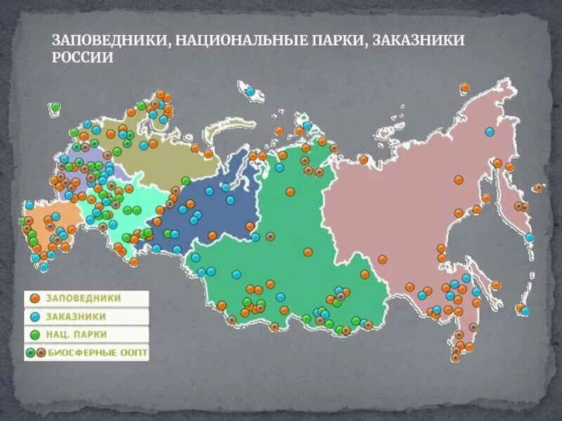 Сколько парков в россии. Нац парки и заповедники России на карте. Заповедники и национальные парки России карта. Крупнейшие заповедники и национальные парки России на карте. Заповедников, заказников и национальных парков в России.