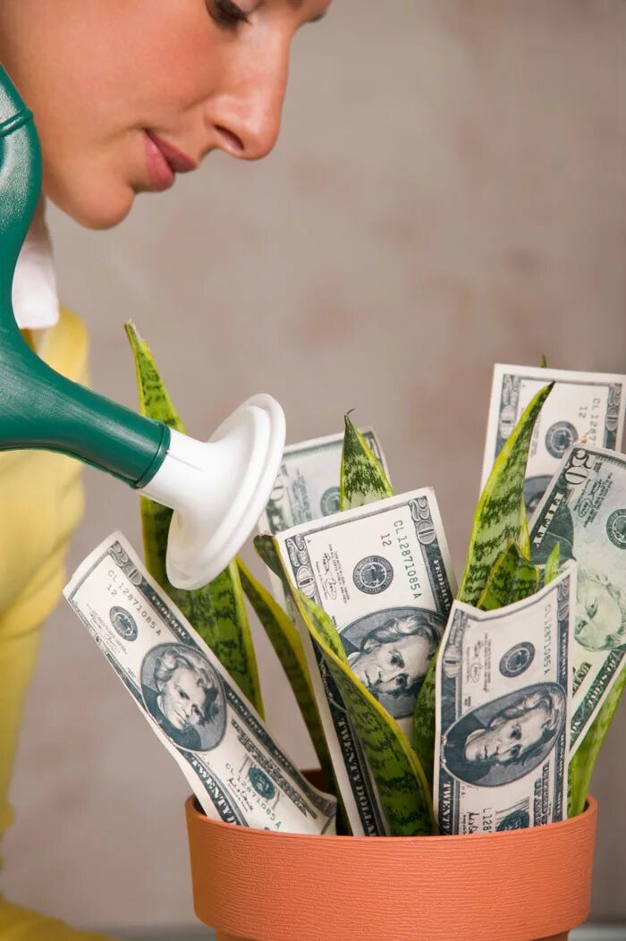 Повысить деньги. Поднял денег. Как увеличить свой доход. Заработная плата картинки. Зорп.