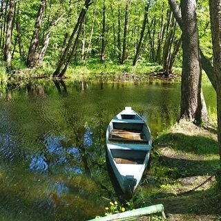 Турбаза рамонь