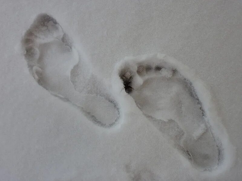 След город. Следы человека на снегу. Отпечаток человека на снегу. Отпечатки ног на снегу. След стопы на снегу.