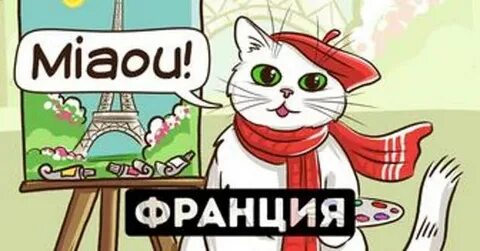 Ли мяу