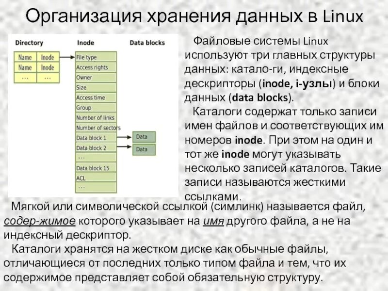 Файл хранит информацию о. Организация файловой системы Linux. Файловая система Linux. Структура файловой системы Linux. Файловая организация данных.