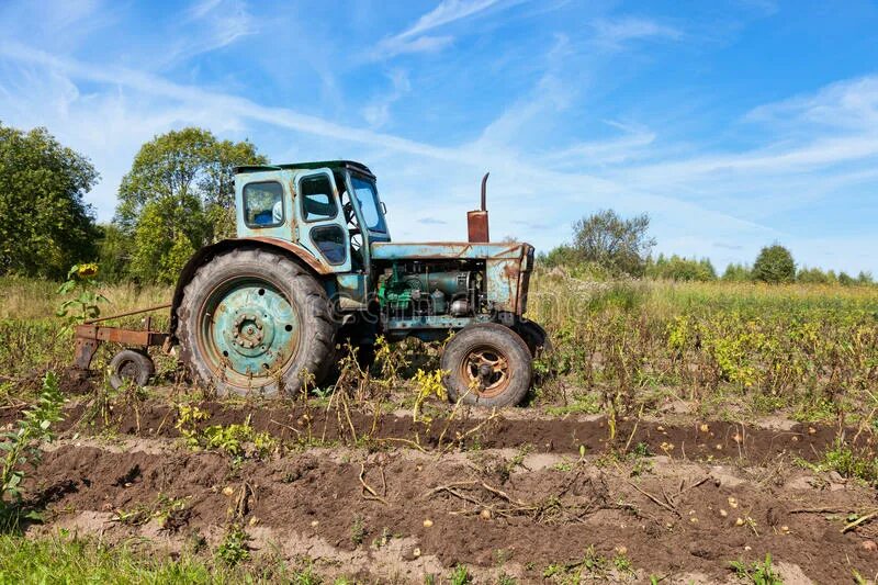 Сенокос на тракторе мтз 82. Трактор т 40 новый. Трактор т 40 сенокос. Т 40 на поле. Мтз 50.